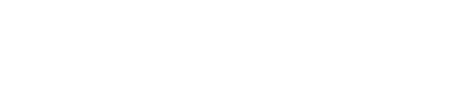 eStorePOS